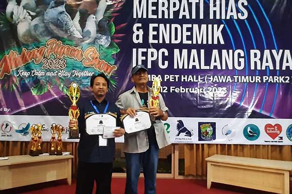 Pemenang salah satu nomor Kontes Merpati Hias kelas Kontes Merpati Hias kelas Saxon Pouter. (dik) - Kontes Merpati Tingkat Nasional Berlangsung Sukses di Kota Batu