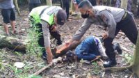 Proses evakuasi korban. (ist) - Seorang Lelaki di Sumberpucung Ditemukan Meninggal di Pekarangan Belakang Rumah Warga