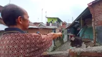 kondisi rumah nur chasanah yang ambrol pada sabtu (2242023) malam. (jup) - Rumahnya Ambrol, Guru PAUD Masih Numpang 4 Hari di Tetangga
