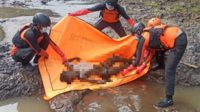 Proses evakuasi tubuh Dimas oleh TIM SAR. (ist) - Tubuh Dimas Pencari Biawak Ditemukan