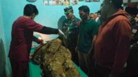 Korban setelah berhasil dievakuasi. (ist) - Terpeleset Saat Mencari Ikan, Suprayitno Ditemukan Meninggal