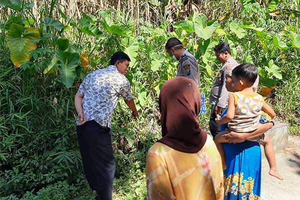 Lokasi penemuan bayi. (ist) - Bayi Berusia Empat Hari Dibuang, Tali Pusar Sudah Membusuk
