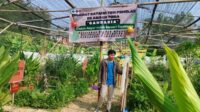 Lokasi taman toga yang berada di kelurahan Gladak Anyar kecamatan Pamekasan. (udi) - Toga Gladak Anyar, Suguhkan Taman Obat-obatan