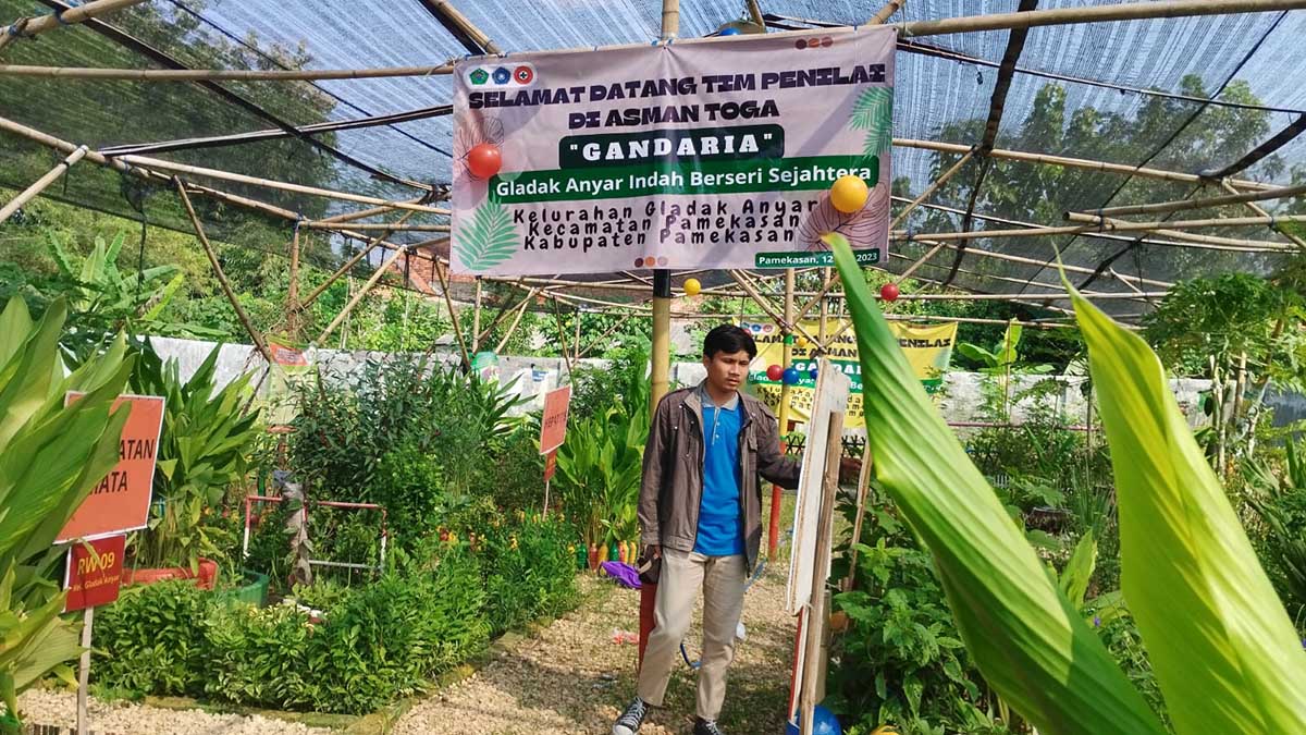 Lokasi taman toga yang berada di kelurahan Gladak Anyar kecamatan Pamekasan. (udi) - Toga Gladak Anyar, Suguhkan Taman Obat-obatan