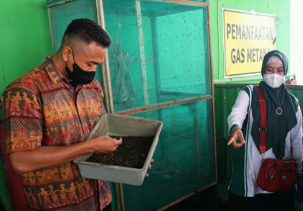 pemkab bojonegoro budi daya maggot untuk mengurangi sampah organik