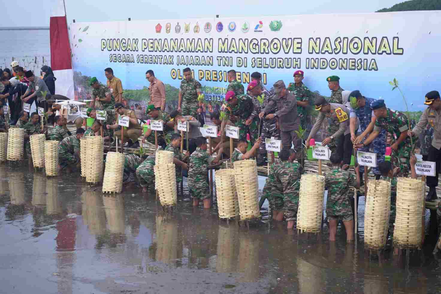 penanaman mangrove yang saat ini dipimpin langsung pangdam v brawijaya mayjen tni farid makruf di kabupaten pasuruan