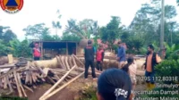 rumah mulyono yang rata dengan tanah, seusai diterjang hujan deras dan angin kencang. (ist) - Diterjang Hujan Deras dan Angin Kencang, Tiga Rumah di Dampit Rusak