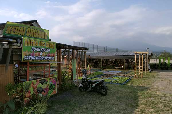 Suasana Pujasera BTS Kota Batu yang asri dan menyejukkan. (mzm) - Menikmati Kuliner di BTS Sambil Memanjakan Mata dengan View Kota Batu Nan Sejuk