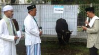 Direktur Polinema menyerahkan secara simbolis hewan kurban sapi. (ist) - Rayakan Iduladha 1444 H, Polinema Bagikan 1.000 Paket Daging Kurban