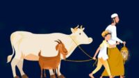 ilustrasi hewan kurban (ist