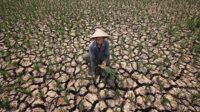 Kekeringan di musim kemarau. (ist) - BMKG: El Nino Tahun Ini Berbeda, Ancam Kekeringan