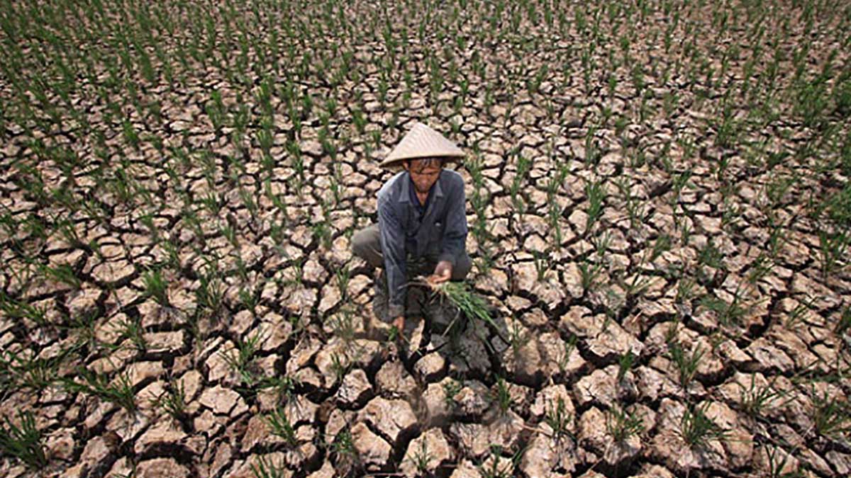 Kekeringan di musim kemarau. (ist) - BMKG: El Nino Tahun Ini Berbeda, Ancam Kekeringan