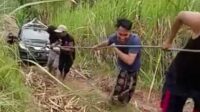 Mobil Google Maps nyasar di kebun tebu. (ist) - Mobil Google Maps Nyasar ke Kebun Tebu, Netizen: Pantesan