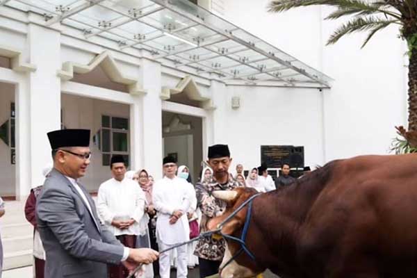 Pj Wali Kota Batu, Aries Agung Paewai SSTP MM menyerahkan hewan kurban secara simbolis. (ist) - Usai Salat Ied di Masjid Brigjen Soegiyono, Pj Walikota Batu Serahkan Sapi 850 Kg