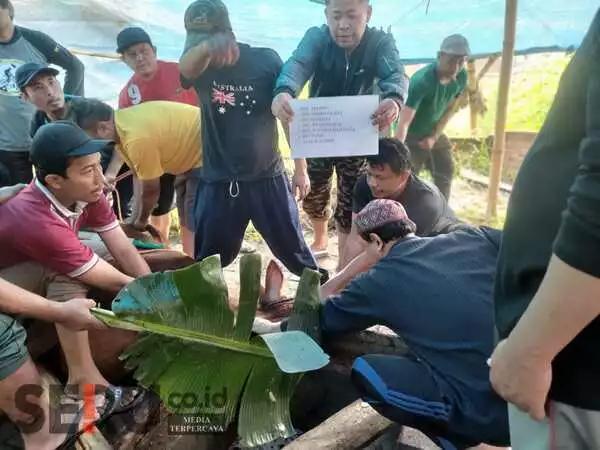 Proses penyembelihan sapi yang dilakukan panitia dibantu warga. (SERU.co.id/mzm) - Kepedulian Sosial dan Kekompakan Warga Kampung Jasatirta di Momen Idul Adha 1444 H