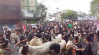 Ratusan warga mengarak hewan kurban sebagai tradisi tahunan Idula Adha di Kampung Temenggungan, Kota Malang. (jup) - Pawai Hewan Kurban, Tradisi Puluhan Tahun Idul Adha Warga Kampung Temenggungan