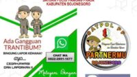 tingkatkan trantibum, satpol pp bojonegoro buka layanan pengaduan online 11zon