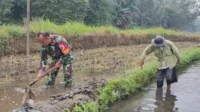 Babinsa Kedungkandang bersama masyarakat Wonokoyo siapkan lahan pertanian. (ist) - Wujudkan Ketahanan Pangan, Babinsa Kedungkandang Bersama Masyarakat Wonokoyo Siapkan Lahan Pertanian