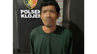 dp 50 pelaku pencurian di toko bahan makanan dan kue klojen kota malang 11zon