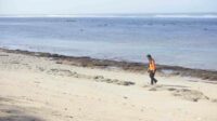 ilustrasi pantai jembatan panjang 11zon