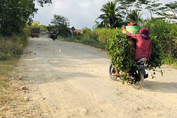 Jalan rusak menuju Balekambang. (SERU.co.id/wul) - Sejumlah Jalan Nasional di Malang Selatan Dibenahi