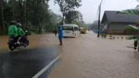 Kondisi banjir di Desa Sitiarjo. (ist) - Intensitas Hujan Tinggi, Sungai Penguluran Meluap, Desa Sitiarjo Tergenang Banjir