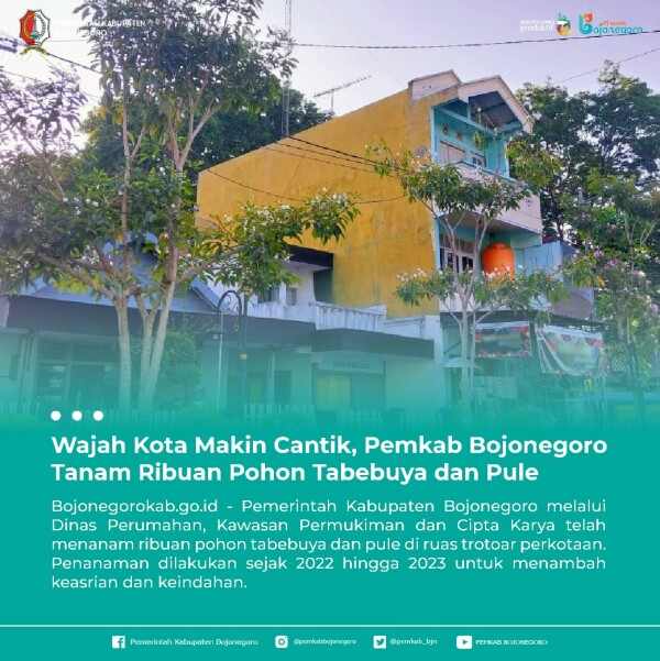 pemkab bojonegoro tanam ribuan pohon tabebuya dan pule 11zon