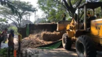 Proses evakuasi ampas tebu dan truk di Jalibar (Jalur Lintas Barat). (SERU.co.id/wul) - Truk Muatan Ampas Tebu 12 Ton Terguling di Jalibar