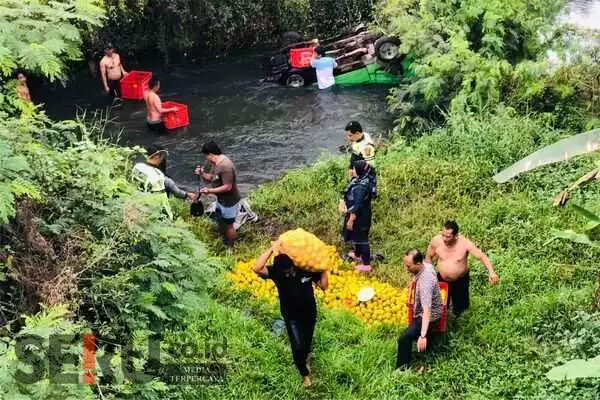 Proses evakuasi jeruk dan kendaraan korban. (wul) - Mobil Pickup Muatan Jeruk Terperosok ke Sungai di Gondanglegi