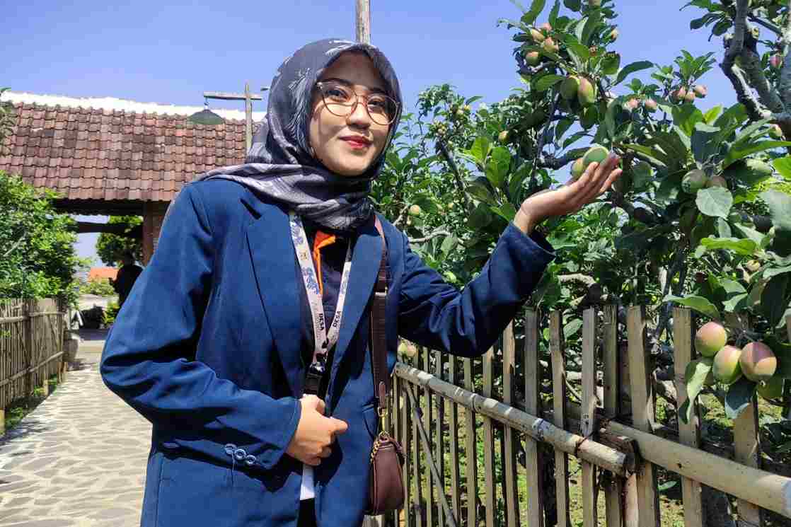 salah satu potensi desa tulungrejo, yakni petik apel langsung dari pohonnya rhd 11zon