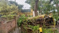 Truk bermuatan Bata merah yang terguling di depan Kantor Desa Mojorejo, Kecamatan Junrejo, Kota Batu. (ist) - Muatan Berat, Tak Kuat Menanjak, Truk Mundur Robohkan Pohon