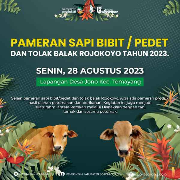 asosiasi peternak antusias rencana pemkab bojonegoro gelar pameran pedet 11zon