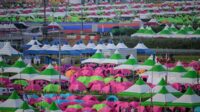 Jambore Pramuka Sedunia ke-25 Korea Selatan. (ist) - Evakuasi Kontingen Indonesia di Jambore Korea Selatan Lancar, Kini di Tempat Aman