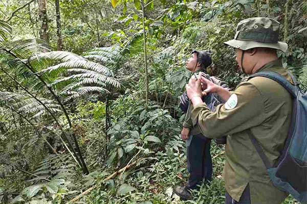 Kegiatan patroli di hutan oleh Founder Profauna Indonesia. (ist) - Masih Ada Perburuan Liar di Kabupaten Malang, Meskipun Mengalami Penurunan