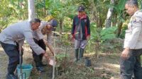 kegiatan penanaman 1000 pohon oleh polres malang 11zon