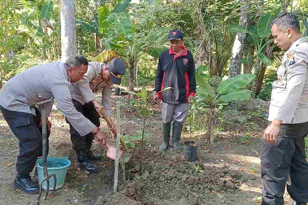 kegiatan penanaman 1000 pohon oleh polres malang 11zon
