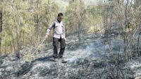 Proses Pemadaman api kebakaran hutan. (ist) - Diduga Akibat Kelalaian Pemburu, Ratusan Hektar Hutan Petak 116 dan Sumberawan Terbakar