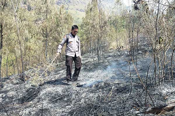 Proses Pemadaman api kebakaran hutan. (ist) - Diduga Akibat Kelalaian Pemburu, Ratusan Hektar Hutan Petak 116 dan Sumberawan Terbakar