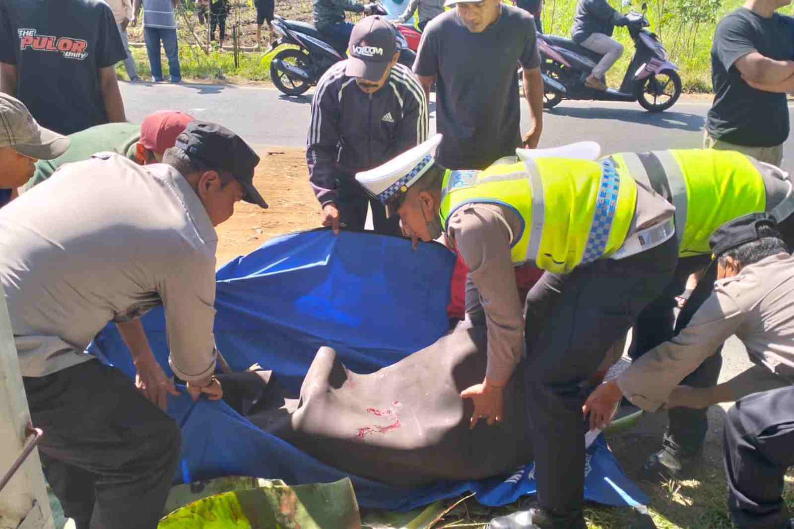 proses evakuasi korban laka di gondanglegi 11zon