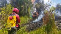 proses pemadaman api di kawasan gunung semeru 11zon