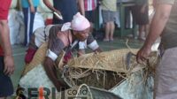 Suasana gudang tembakau milik Haji Her yang berada di Blumbungan Pamekasan. (Seru.co.id/udi) - P4TM Minta Jaga Kualitas Tembakau Madura Tanpa Dicampur Gula dan Dipetik Muda