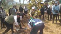 Gubernur Jatim Tanam Pohon Dan Tebar 50 Ribu Benih Ikan di Waduk Selorejo