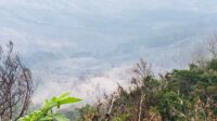 Lokasi kebakaran di kawasan Gunung Bromo. (wul) - Negara Alami Kerugian Hingga Rp5,4 Miliar Akibat Kebakaran Bromo