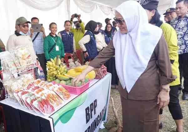 Farmer's Fun Day Bojonegoro 2023 Ajang Promosi Komoditas Unggulan