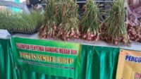 Pemkab Bojonegoro Dorong Petani Bawang Merah Gunakan Benih Biji
