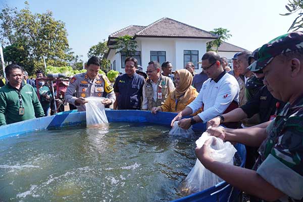 Pj Wali Kota Batu dan Forkompinda Batu Panen Ikan Nila. (ist) - Panen Bawang Merah dan Ikan Nila, Pj. Wali Kota Batu: Untuk Ketahanan Pangan dan Pengendalian Inflasi