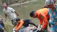 Proses evakuasi oleh pihak Basarnas. (ist) - Tubuh Bocah 6 Tahun Hilang Terseret Arus Sungai Bululawang Ditemukan