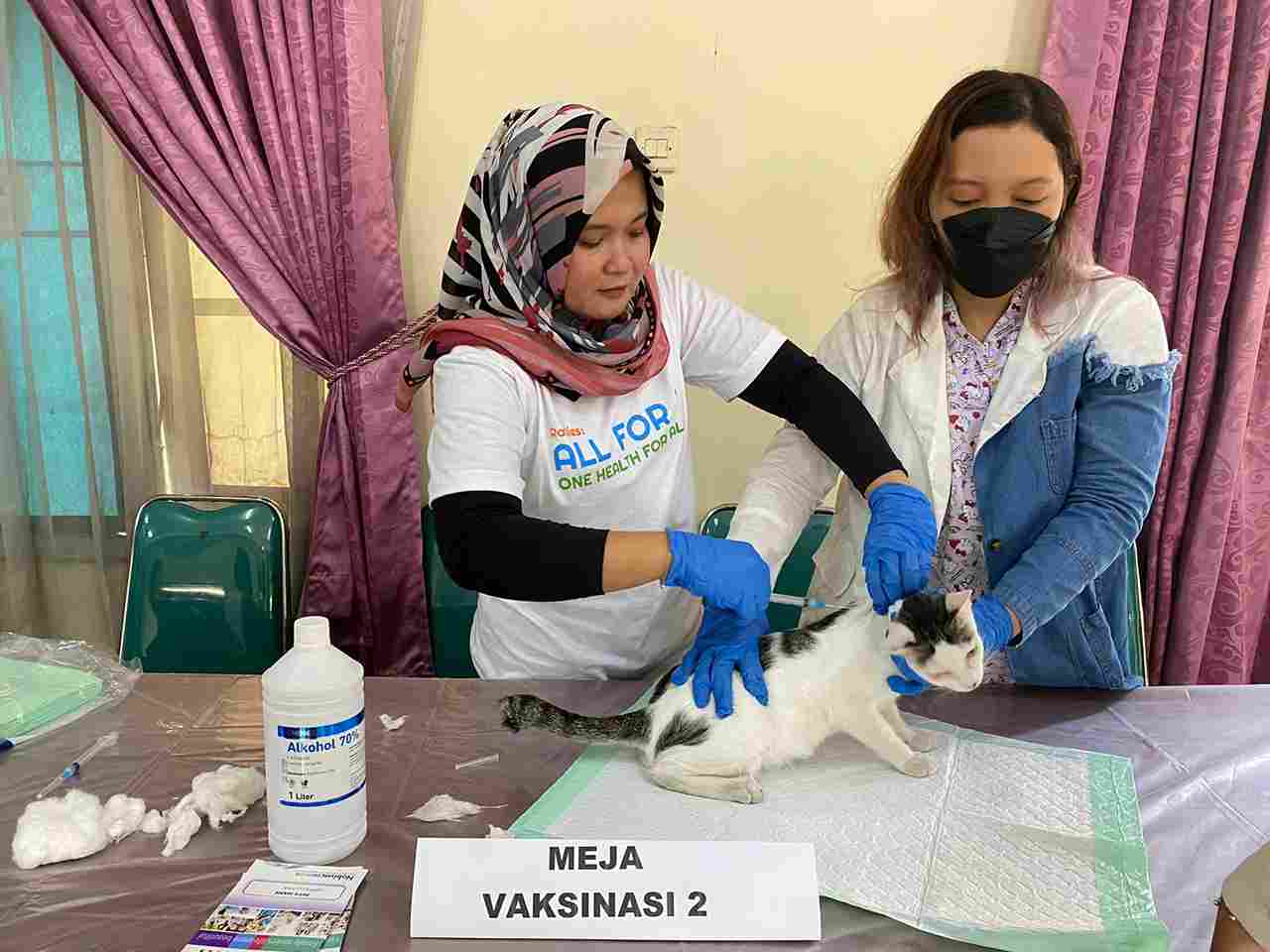 Disnakkan Beri Vaksin Gratis Ratusan Kucing