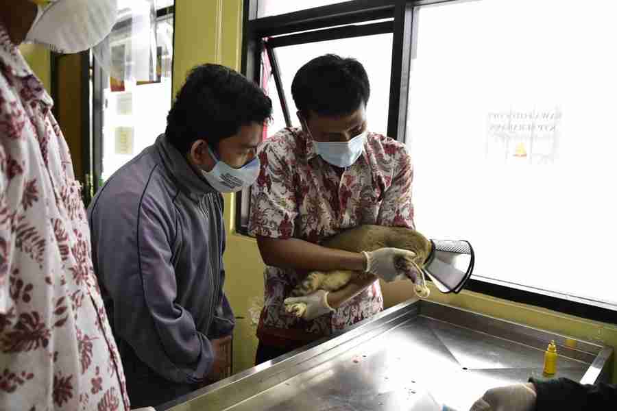 Pemkot Surabaya Sediakan Layanan Klinik Hewan Secara Gratis