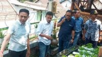 Pj Wali Kota Malang melakukan peninjauan urban farming. (ws8) - Pj Wali Kota Malang Minta Kuatkan Ekosistem Urban Farming di Kota Malang